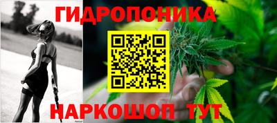 ГАЛЛЮЦИНОГЕННЫЕ ГРИБЫ Камышлов