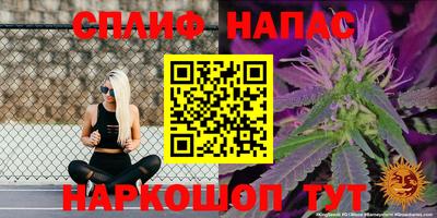 ГАЛЛЮЦИНОГЕННЫЕ ГРИБЫ Камышлов