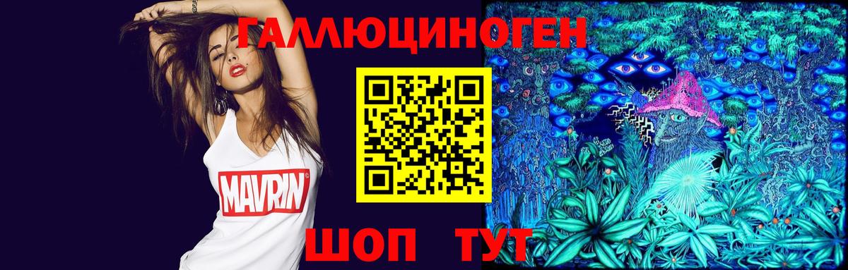 Курчатов  Псилоцибиновые грибы GOLDEN TEACHER  Псилоцибиновые грибы мухоморы  Вход с VPN 